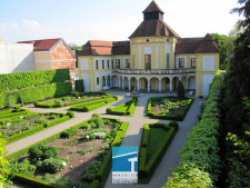 Ingolstadt, Altstadt, Theisinger Immobilien, Apartment