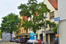 Bürofläche in Ingolstadt, Altstadt