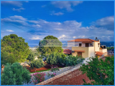 Agios N 1