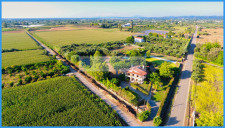 DJI_0051
