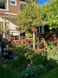 Terrasse im Sommer