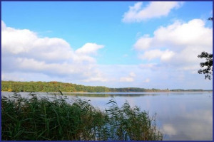 Seddiner See