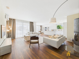 Wohnzimmer + Cheminée