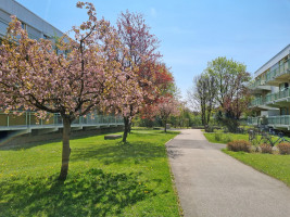 Weg zum Haus