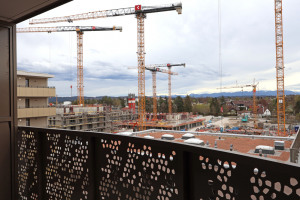 Ausblick