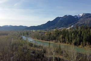 Brauneck