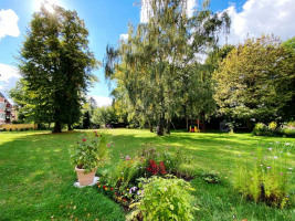 Riesiger Garten