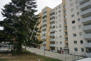 Ansicht Eingangsseite