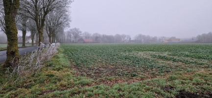 Acker am Dorfrand