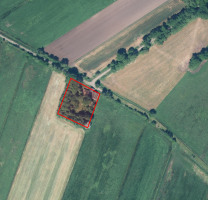 Screenshot 2025-09-24 at 10-49-23 Auskunft (Profil G)