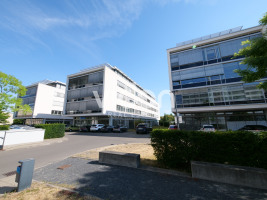 Liegenschaft