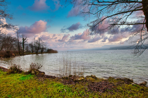 Blick zum See DSC_5680