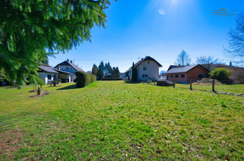 Blick zur Straße DSC_0577