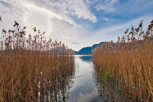 Blick zum See DSC_6558