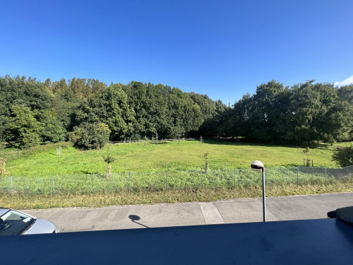 Blick aus der Küche-Wohnzimmer