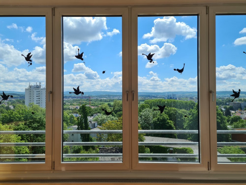 Blick vom Sonnenerker aus