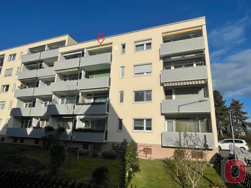 Rückansicht2