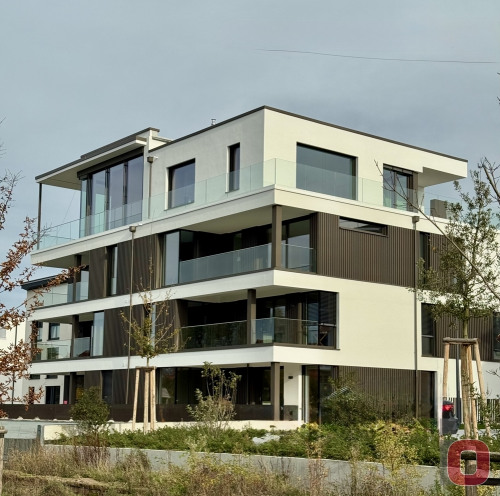 Neu