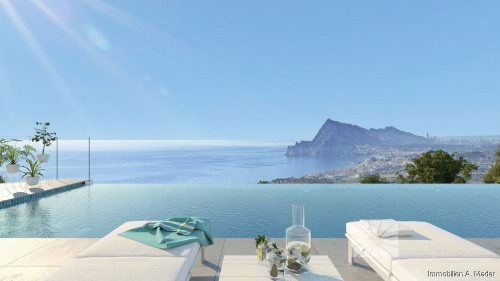 Infinity Pool