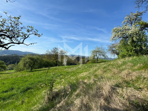 Aussicht_2_