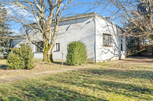 Haus