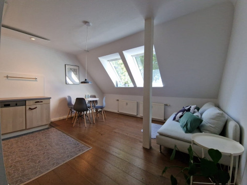 Wohnbereich mit offener Küche