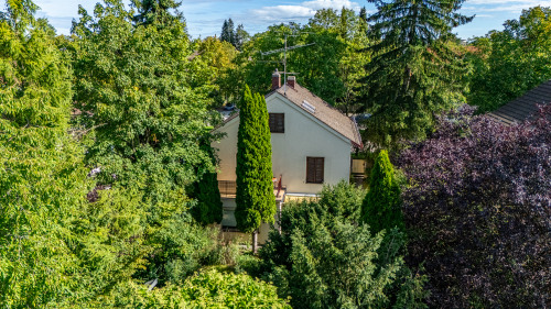Drohnenaufnahme Altbestand