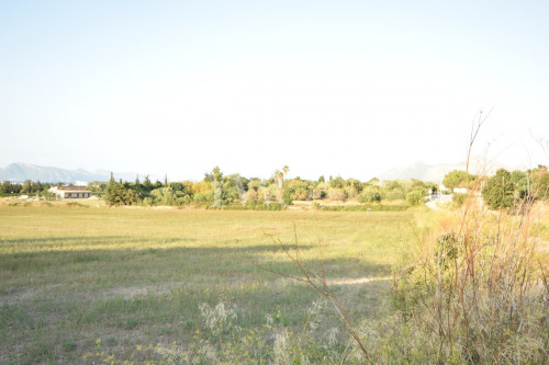 x-mallorca-alcudia-norden-finca-grundstück-aussicht-bucht-8