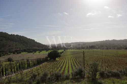 x-mallorca-campanet-weingut-hotelprojekt-27