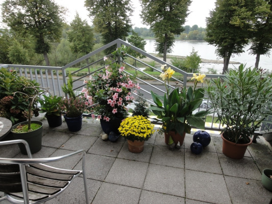 Balkon mit direktem Blick auf den Rhein