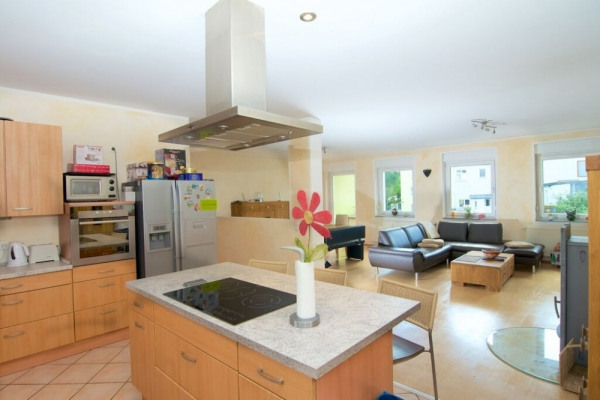 Kochinsel/ Wohnzimmer