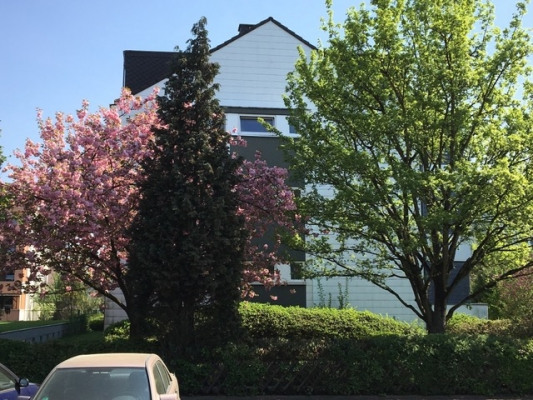 Ansicht Giebelseite Humboldtstrasse(1)