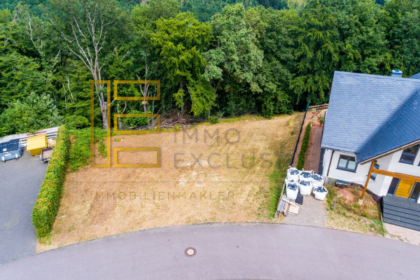 REMAX_B_FEngelhardt_Kastel-Staadt_0108201901