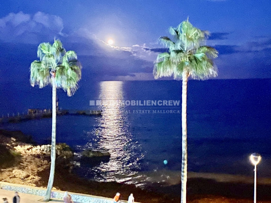 209239d6-1b31-4aa7-aaf3-b8d78d0fd7ed