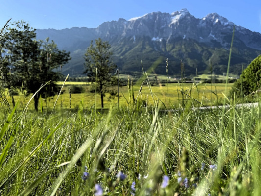 image00008