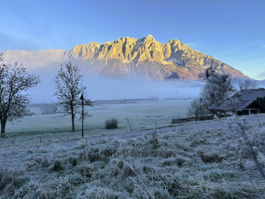 image00010