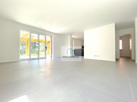 Wohn- und Essbereich