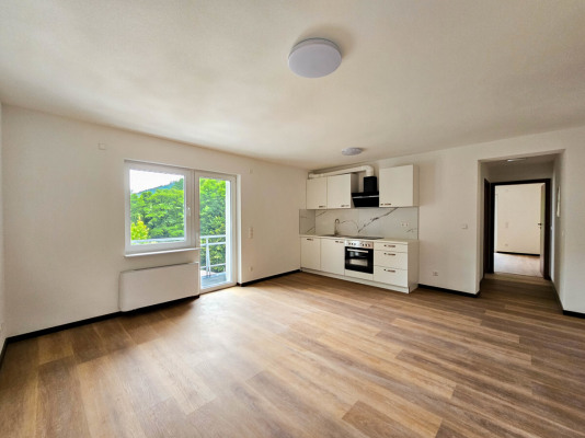 Küche mit Wohn-/Essbereich