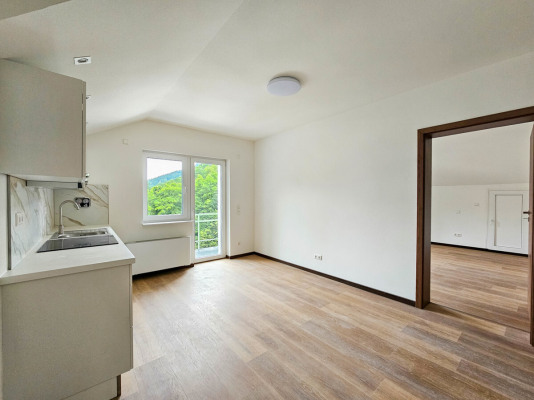 Küche mit Wohn-/Essbereich