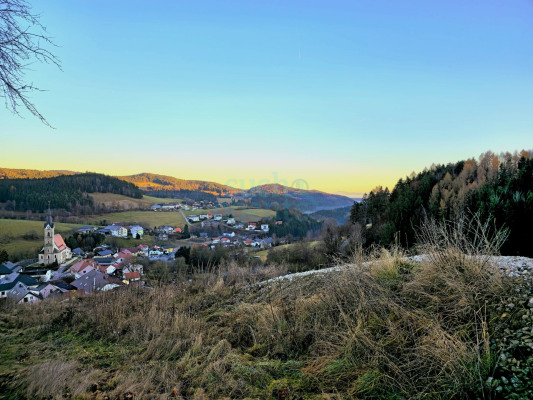 Reichenau