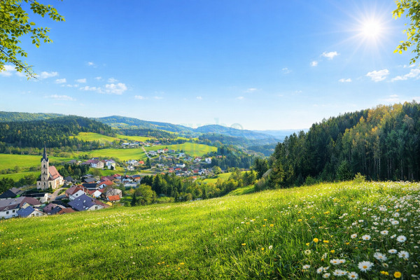 Aussicht Frühling