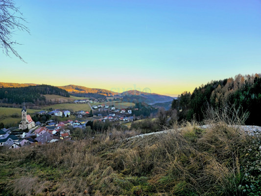 Reichenau