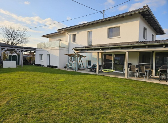 WhatsApp Image 2025-11-21 at 17.52.31