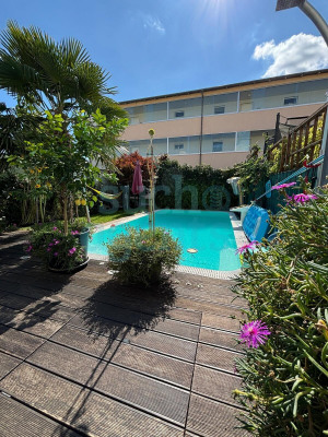 Pool/ Sommer
