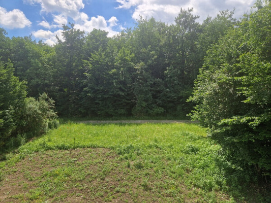  aussicht wohnen