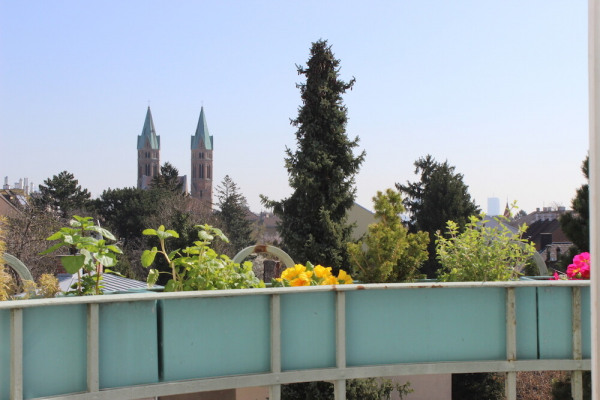 1669-kurzwohnung_wien_19_doebling_kauf_sonnige_altbauwohnung_stilhaus_wohnzimmer_balkon