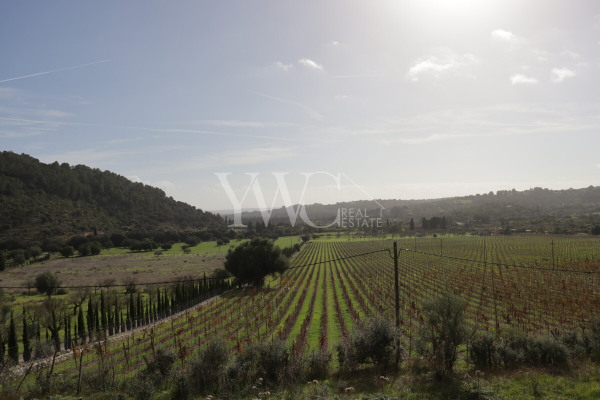 x-mallorca-campanet-weingut-hotelprojekt-27