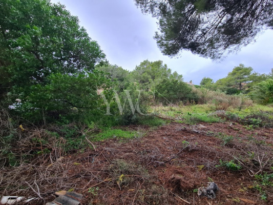 x-mallorca-norden-bucht-von-alcudia-bau-grundstueck-investition-07