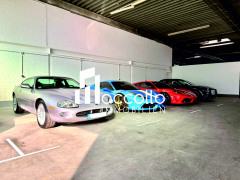 B1