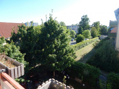 Aussicht 